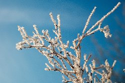 01 10-Feb-13 09-06-42 D300 010